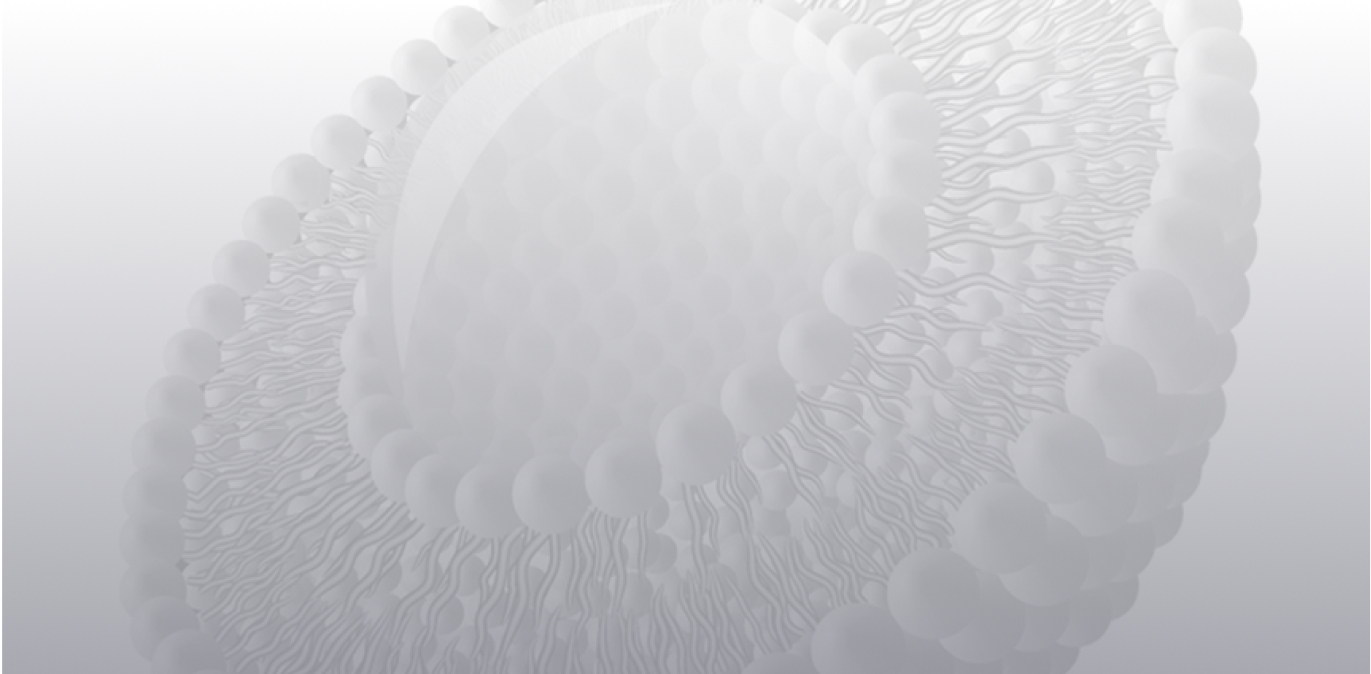 Liposomal nutraceutical ingredients